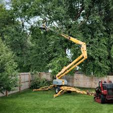 Best Lawn Mowing  in Hobbs, NM